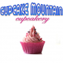 Cupcake Mountain
