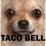 Taco Bell*