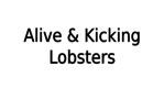 Alive & Kicking Lobsters