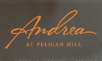 Andrea at Pelican Hill