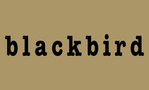 Blackbird: Books, Gallery, & Cafe