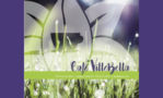 Cafe VilleBella