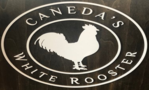 Caneda's White Rooster
