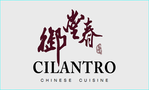 Cilantro Chinese Cuisine