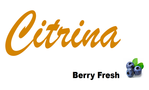 Citrina berryfresh-