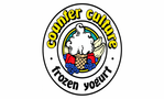 Counter Culture Frozen Yogurt