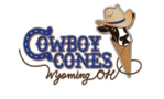Cowboy Cones