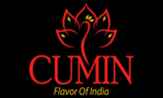 Cumin Flavor of India