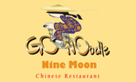 Go Noodle Nine Moon