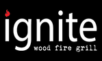 Ignite Wood Fire Grill