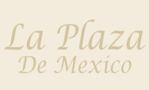 La Plaza De Mexico