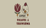 Lotus Falafel & Shawerma