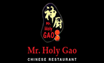 Mr. Holy Gao