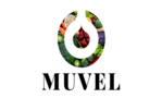 Muvel - Healthy Food Society