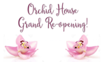 Orchid House Thai Restaurant -