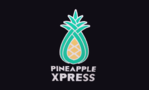 Pineapple Xpress Shave Ice
