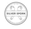 Silver Spork