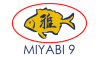 Miyabi 9