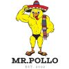 Mr Pollo
