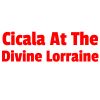 Cicala At The Divine Lorraine