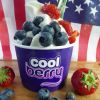 Coolberry Frozen Yogurt