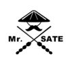 Mr. Sate