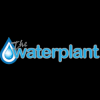 The Water Plant