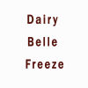 Dairy Belle Freeze