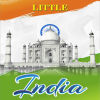 Little India Indian Cuisine (US Hwy 19)