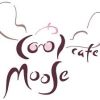Cool Moose Coffee Company
